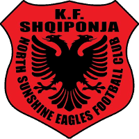 NS Eagles club logo