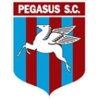 MW Pegasus club logo