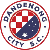 Dandenong City club logo