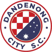 Logo of Dandenong City SC