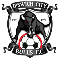 Ipswich City club logo