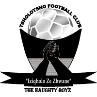 Logo of Tsholotsho FC