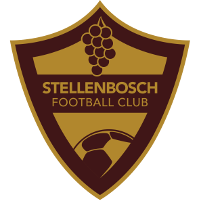 
														Logo of Stellenbosch FC														
