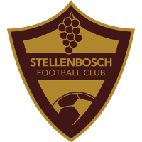 Stellenbosch FC logo