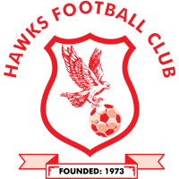 Logo of Hawks FC