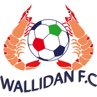 Logo of Wallidan FC