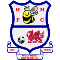 Holyhead Hotspur FC logo