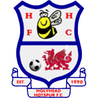 Logo of Holyhead Hotspur FC