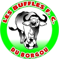 Buffles Borgou