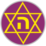 Hakoah Amidar club logo