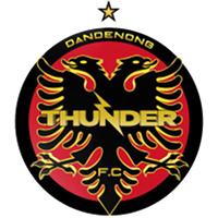 Logo of Dandenong Thunder FC