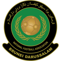 Brunei DS U19 club logo