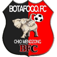 Logo of Botafogo FC