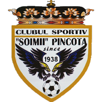 Logo of ACS Şoimii Pâncota