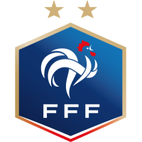 France U17 club logo