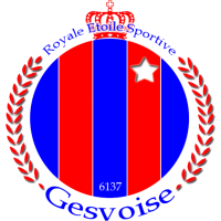 Logo of RES Gesvoise