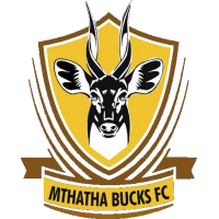 Logo of Mthatha Bucks FC