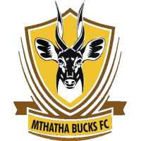 Mthatha Bucks