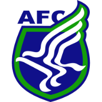Logo of Artsul FC