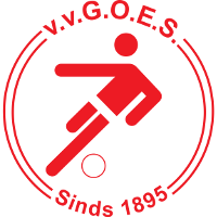 VV GOES logo