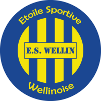 ES Wellinoise club logo