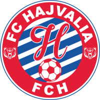 WFC Hajvalia club logo