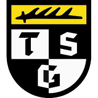 TSG Balingen logo