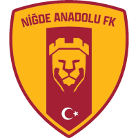 Niğde Anadolu club logo