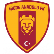 Niğde Anadolu FK logo