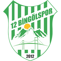 12 Bingölspor club logo
