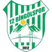 12 Bingölspor logo