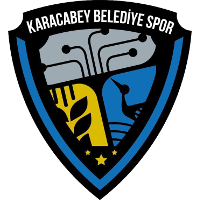 Teco Karacabey Belediyespor logo