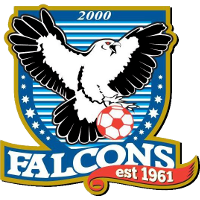 Falcons 2000 SC clublogo