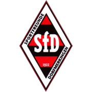 Dorfmerkingen club logo