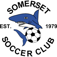 Somerset SC club logo