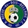 Logo of RFC Queue-du-Bois