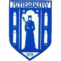 Amesbury Town