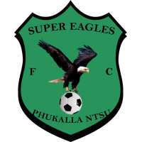 Super Eagles FC logo