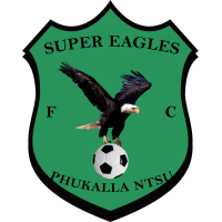 Super Eagles