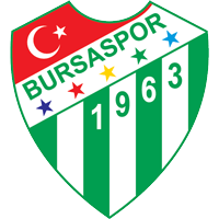 Logo of Bursaspor U19