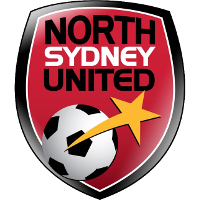 NS United club logo