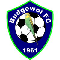 Budgewoi FC