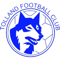 Tolland FC club logo
