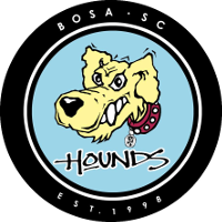 BOSA SC club logo