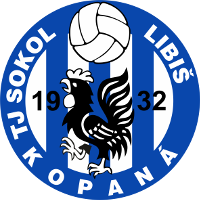 Sokol Libiš club logo