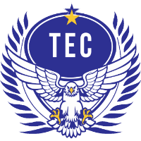 Taguatinga EC logo