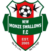 NM Swallows club logo