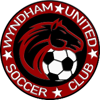 Wyndham Utd club logo