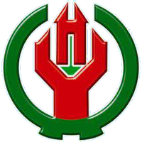 Dalian Huayi club logo