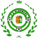 Vliermaal club logo